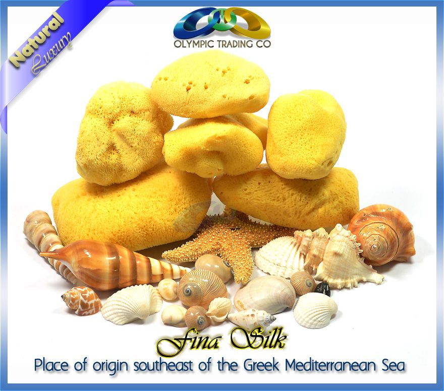 Natural Sponges Mediterranean Fina Silk Sponges