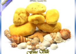 Wholesale Natural Silk Sea Sponges